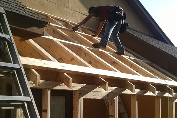 Carpentry Meister Roof